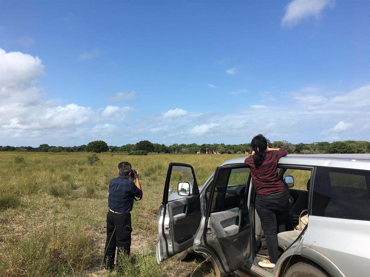 Maputo-National-Park-3